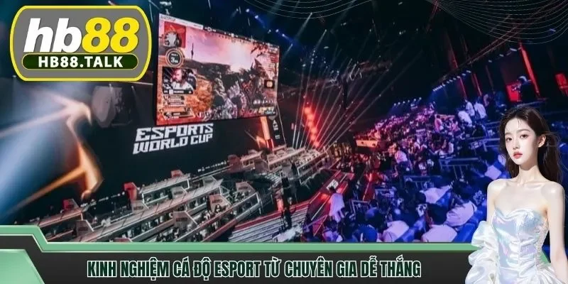 Kinh nghiệm cá độ esport từ chuyên gia dễ thắng